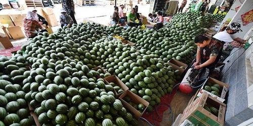 上市公司吃瓜群众视频,揭秘资本市场的幕后故事