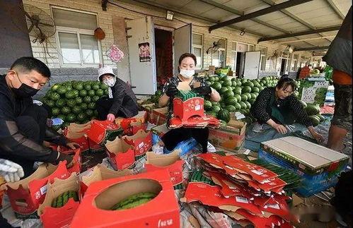 上市公司吃瓜群众视频,揭秘资本市场的幕后故事