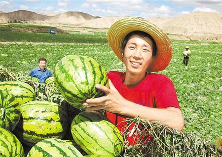 吃硒砂瓜的感慨视频,品味人生百态
