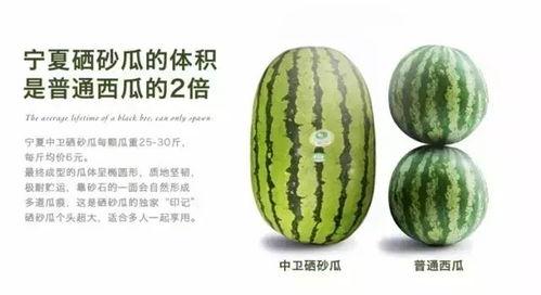 吃硒砂瓜的感慨视频,品味人生百态