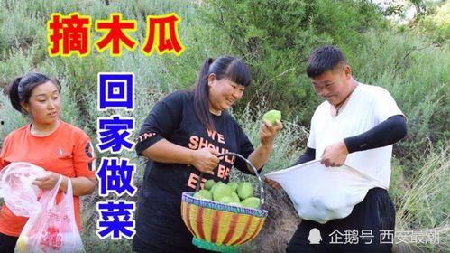 热闹吃瓜大姐视频大全,趣味横生的日常瞬间集锦