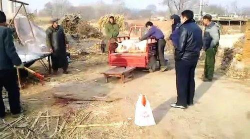 曲阜五泉庄吃瓜事件视频,一场引发热议的网络视频风波