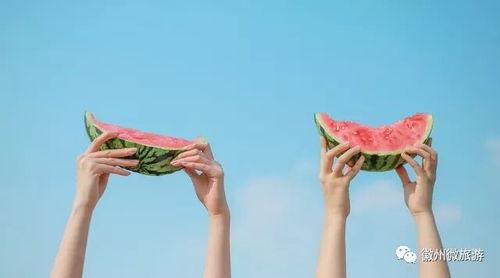 吃瓜小杨爸遛鸟视频下载,吃瓜小杨爸成网络红人