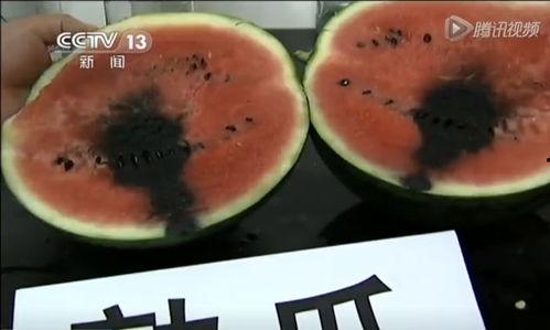 吃瓜素材库大全视频,视频中的趣味瞬间大盘点