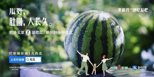 吃瓜花的文案视频,揭秘娱乐圈幕后故事，带你走进明星真实生活