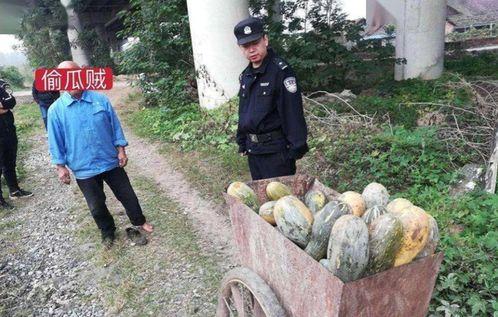 琼山区吃瓜事件真相视频,还原事件始末