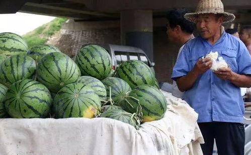 琼山区吃瓜事件真相视频,还原事件始末