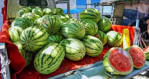 琼山区吃瓜事件真相视频,还原事件始末