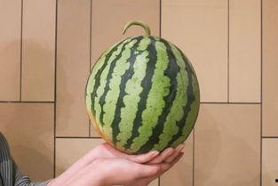 西昌万科17度吃瓜视频,一场夏日里的欢乐盛宴