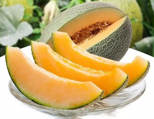 瓜州吃瓜最新视频