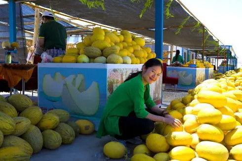 瓜州吃瓜最新视频