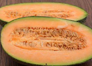 小熊吃哈密瓜视频,甜蜜哈密瓜大餐