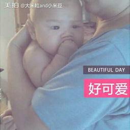 刘大瓜吃大猪头视频大全,视频大全带你领略美食盛宴