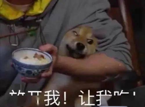 带你吃瓜精灵搞笑视频,搞笑精灵带你领略欢乐瞬间