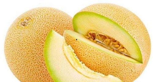 傻瓜吃哈密瓜视频大全下载,傻瓜吃哈密瓜视频大全，笑料横生，欢乐无限！