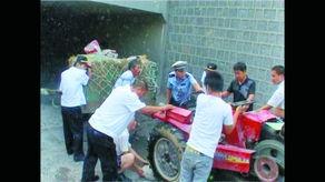 卖车王阿姨吃瓜视频,揭秘二手车市场幕后故事