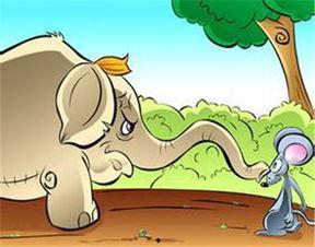 小老鼠吃瓜视频大全播放,萌趣瞬间，欢乐无限